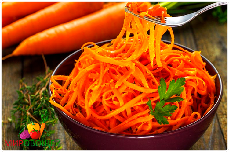 салат с морковью
