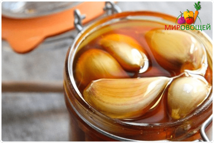 лечебная настойка чеснок с медом